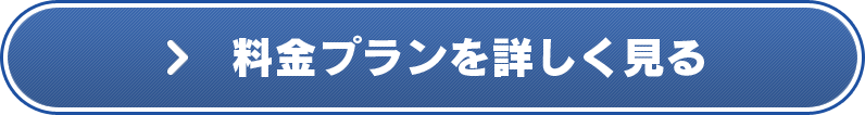 料金プランを詳しく見る
