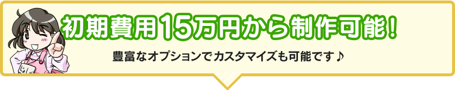 初期費用15万円から制作可能　豊富なオプションでカスタマイズ可能です。